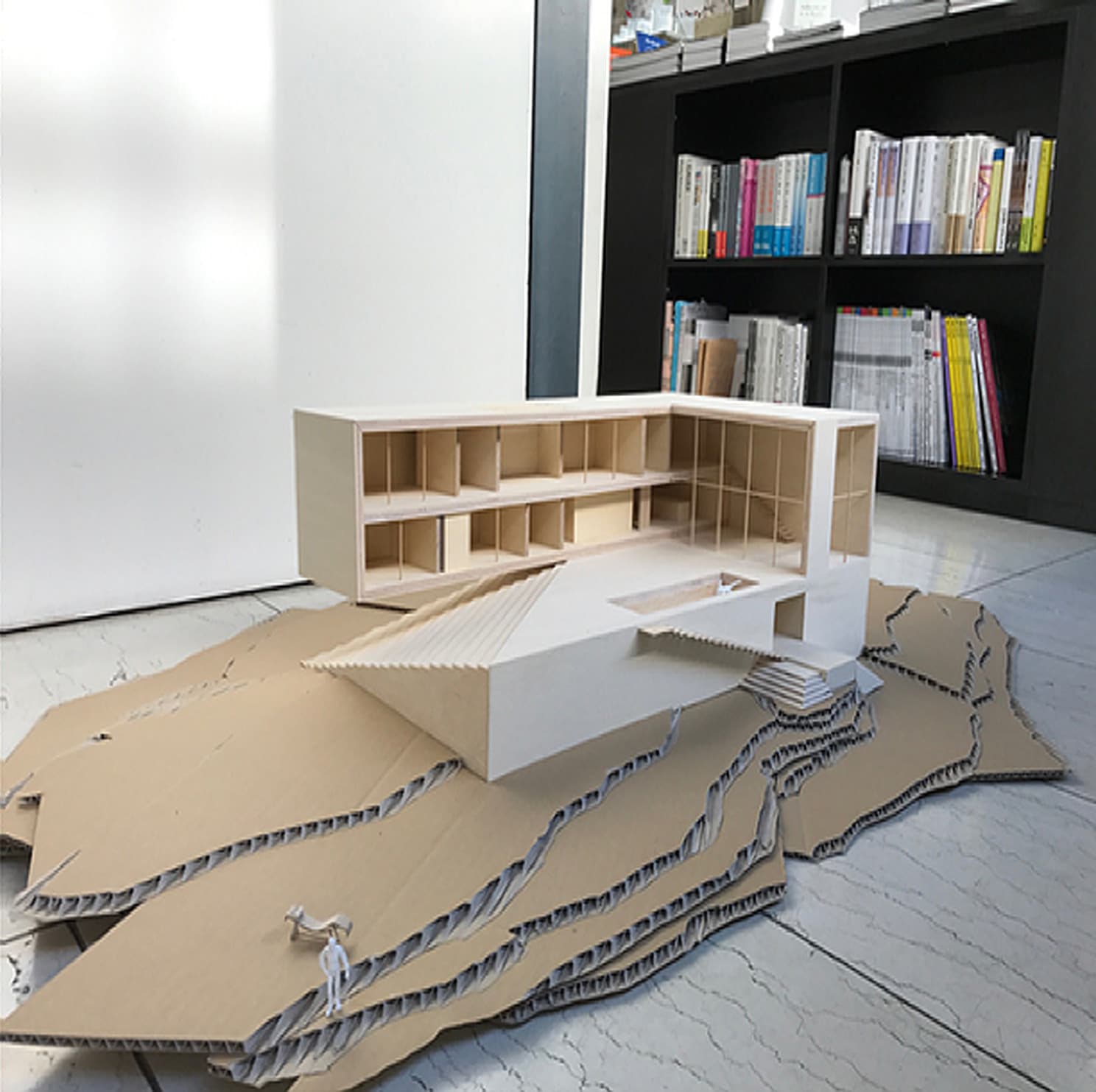 project_image