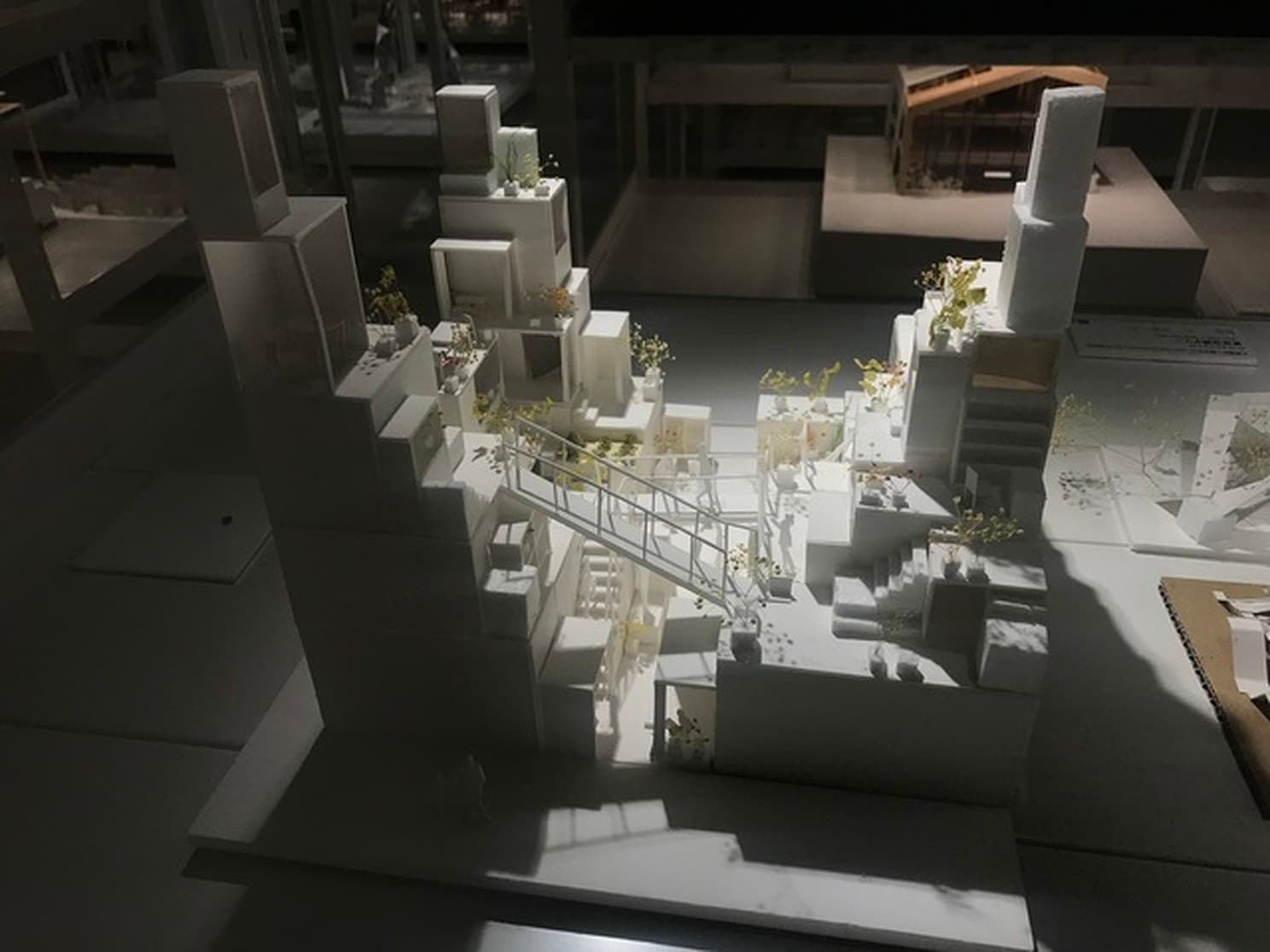 project_image