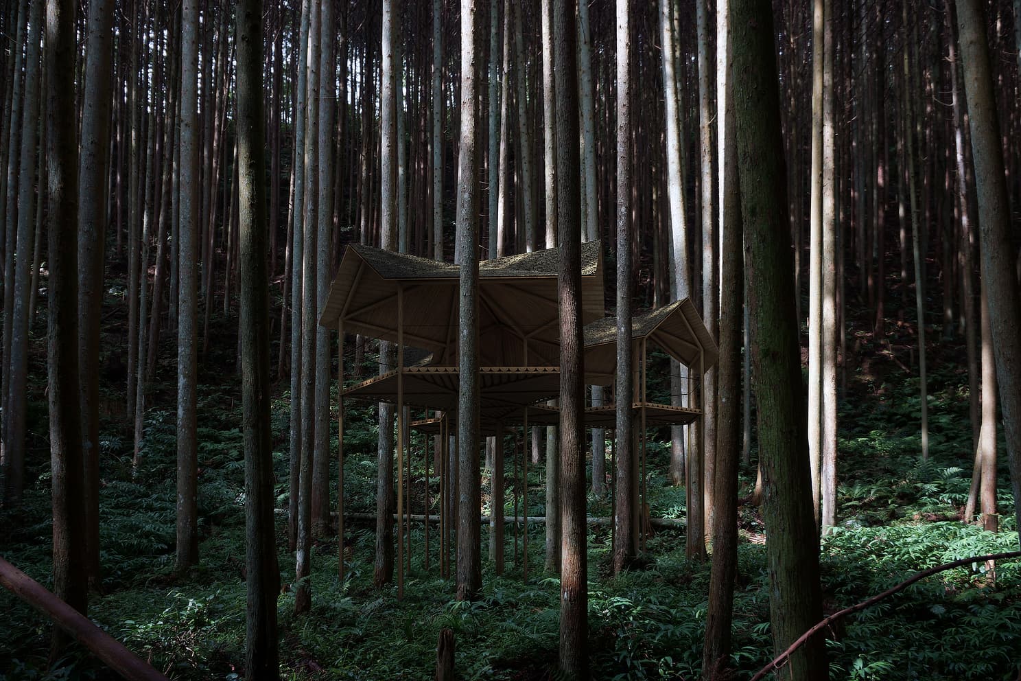 project_image