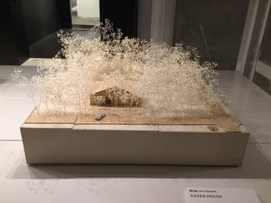 other project image