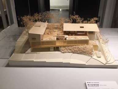 other project image
