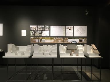 other project image