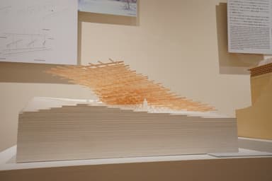 other project image