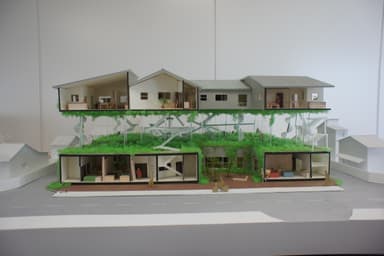 other project image