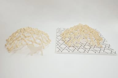other project image