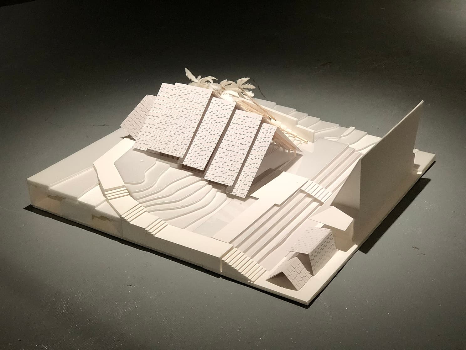 project_image