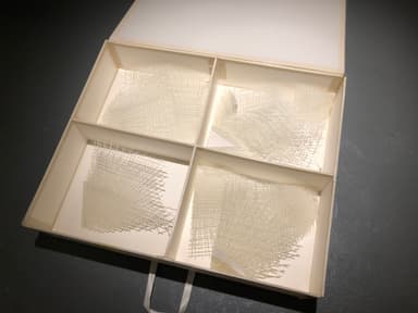 other project image