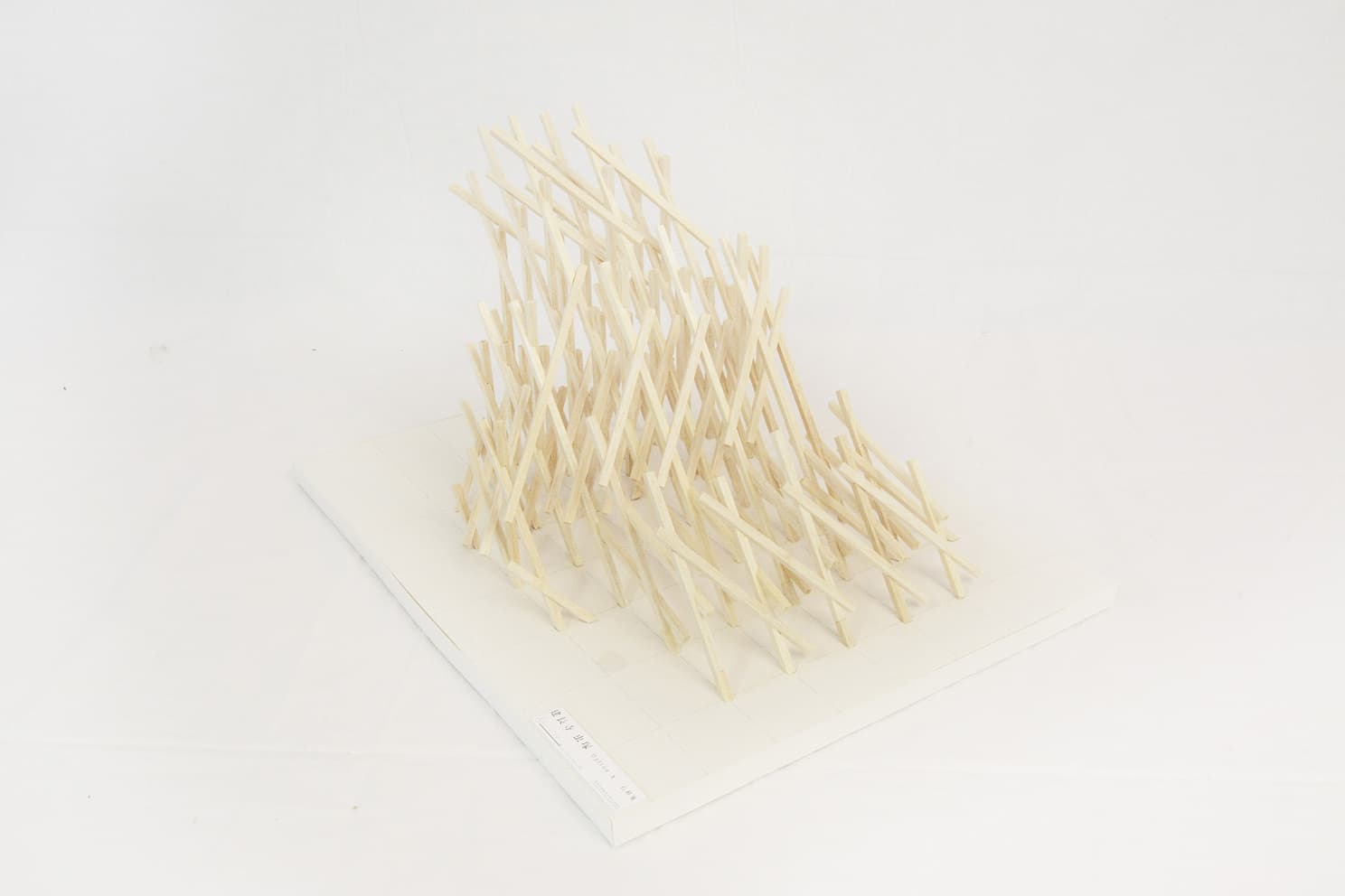 project_image