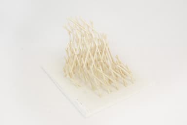 other project image