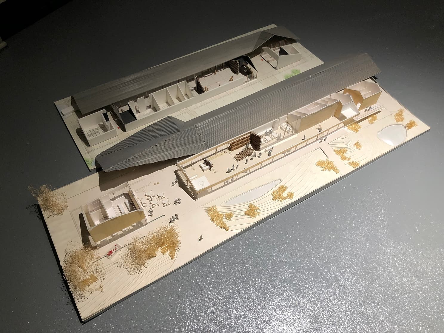 project_image