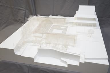 other project image