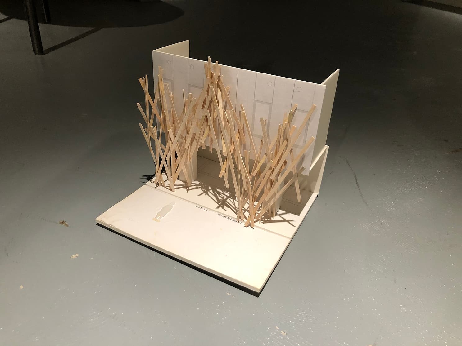 project_image