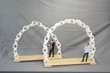 other project image