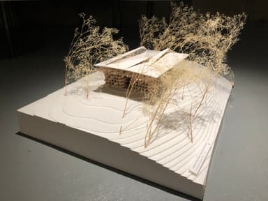 other project image