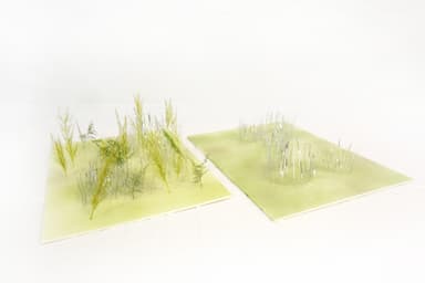 other project image