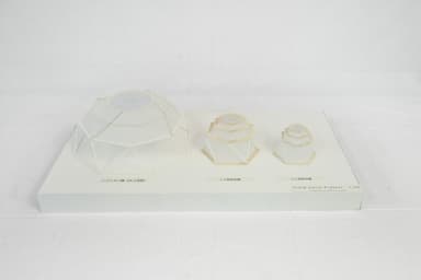 other project image