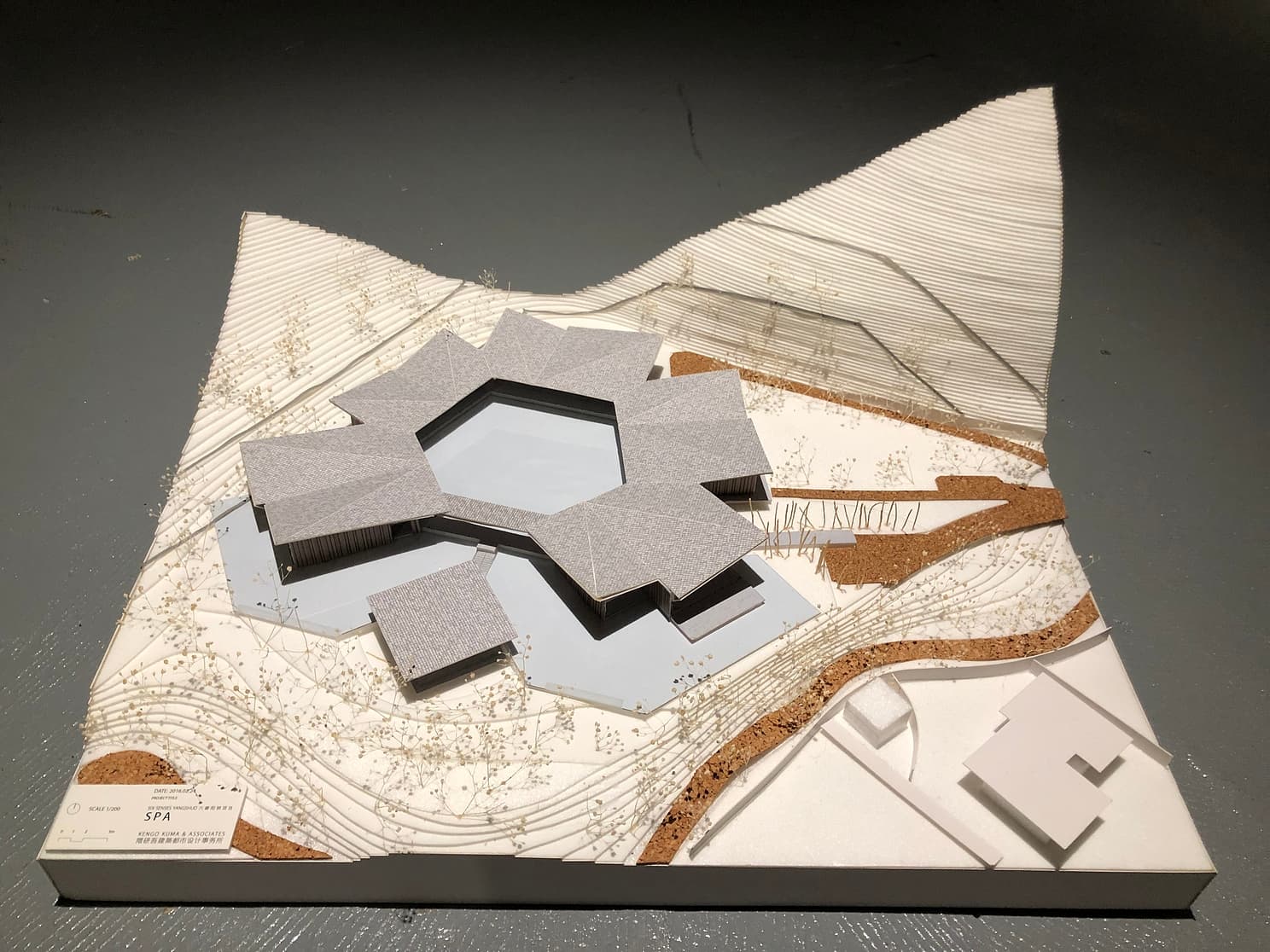 project_image