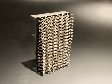 other project image