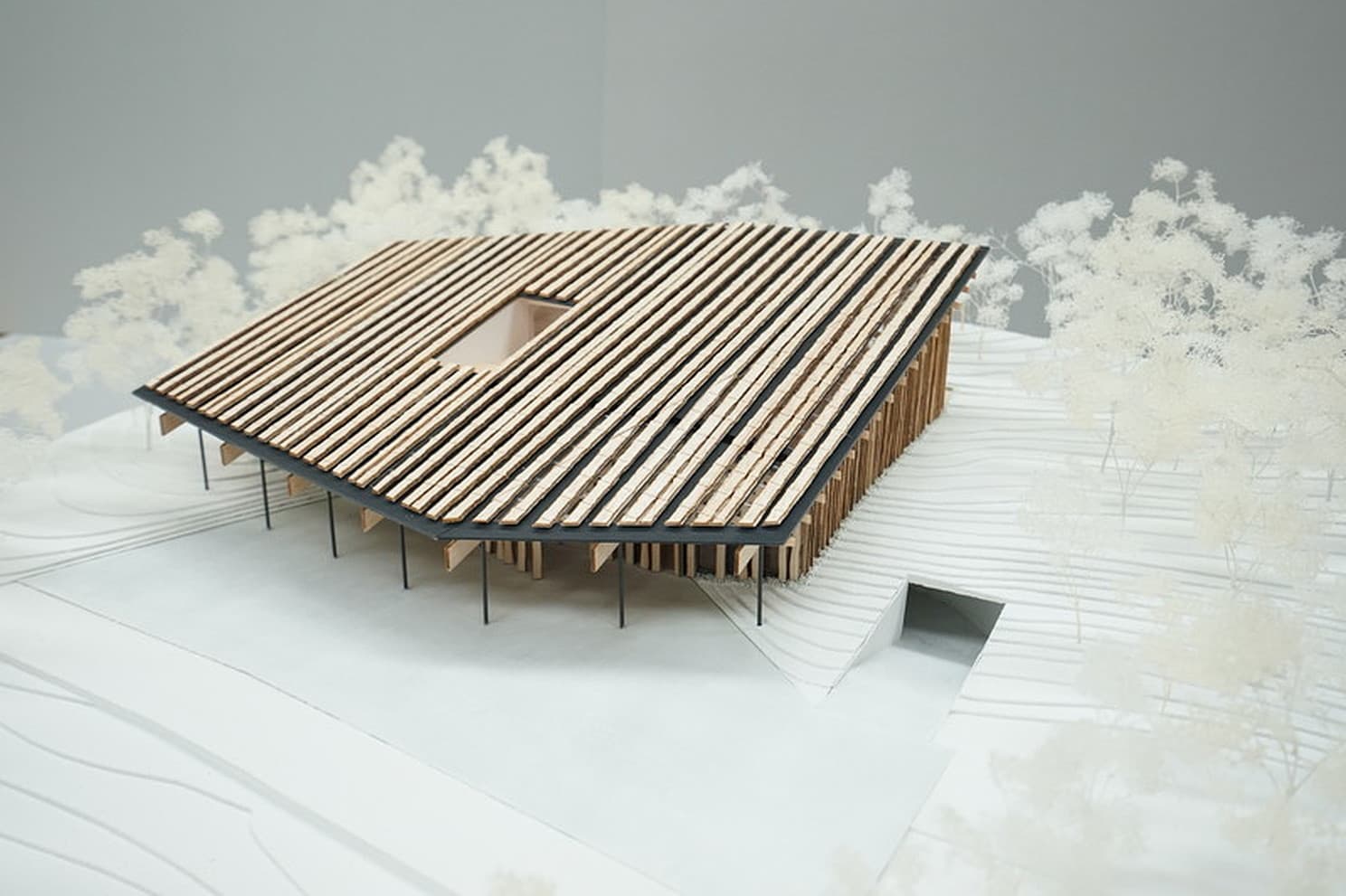 project_image