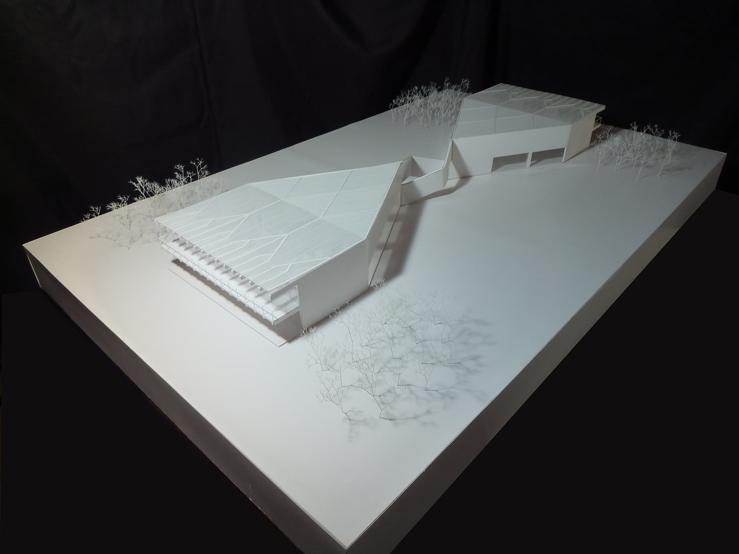 project_image