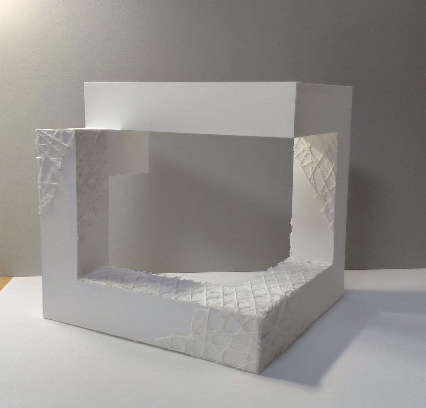 project_image