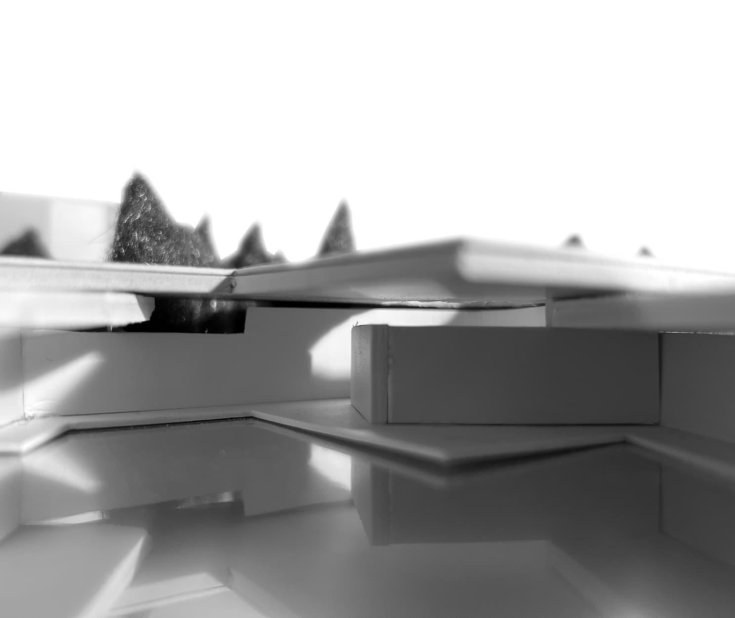 project_image