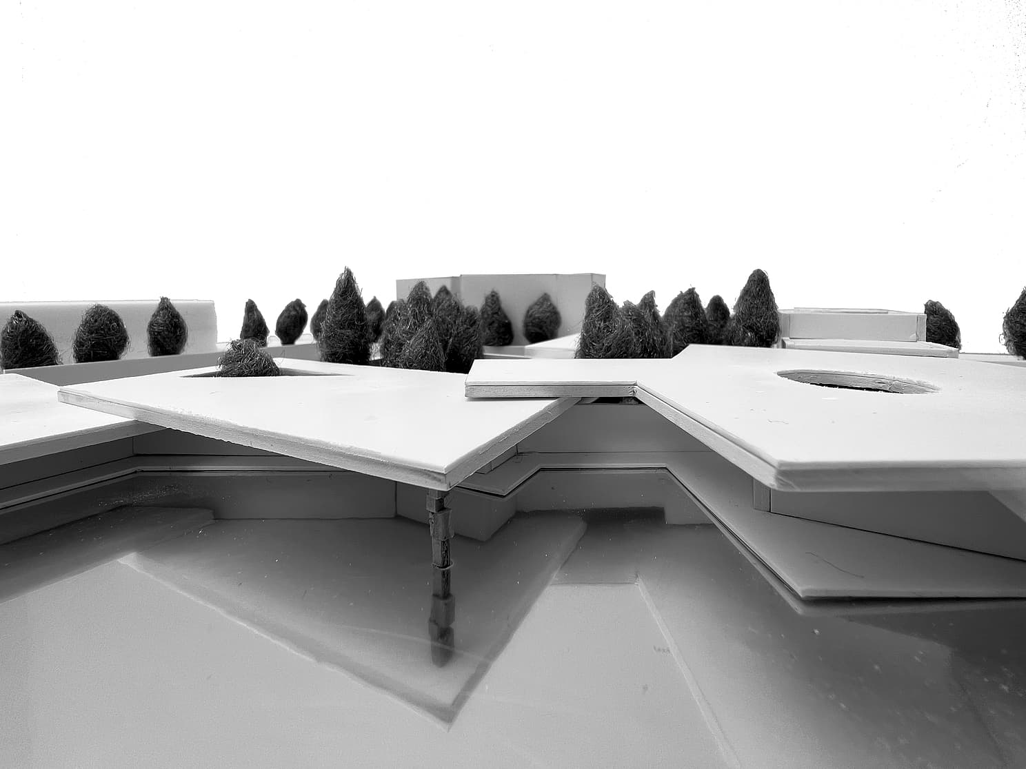 project_image