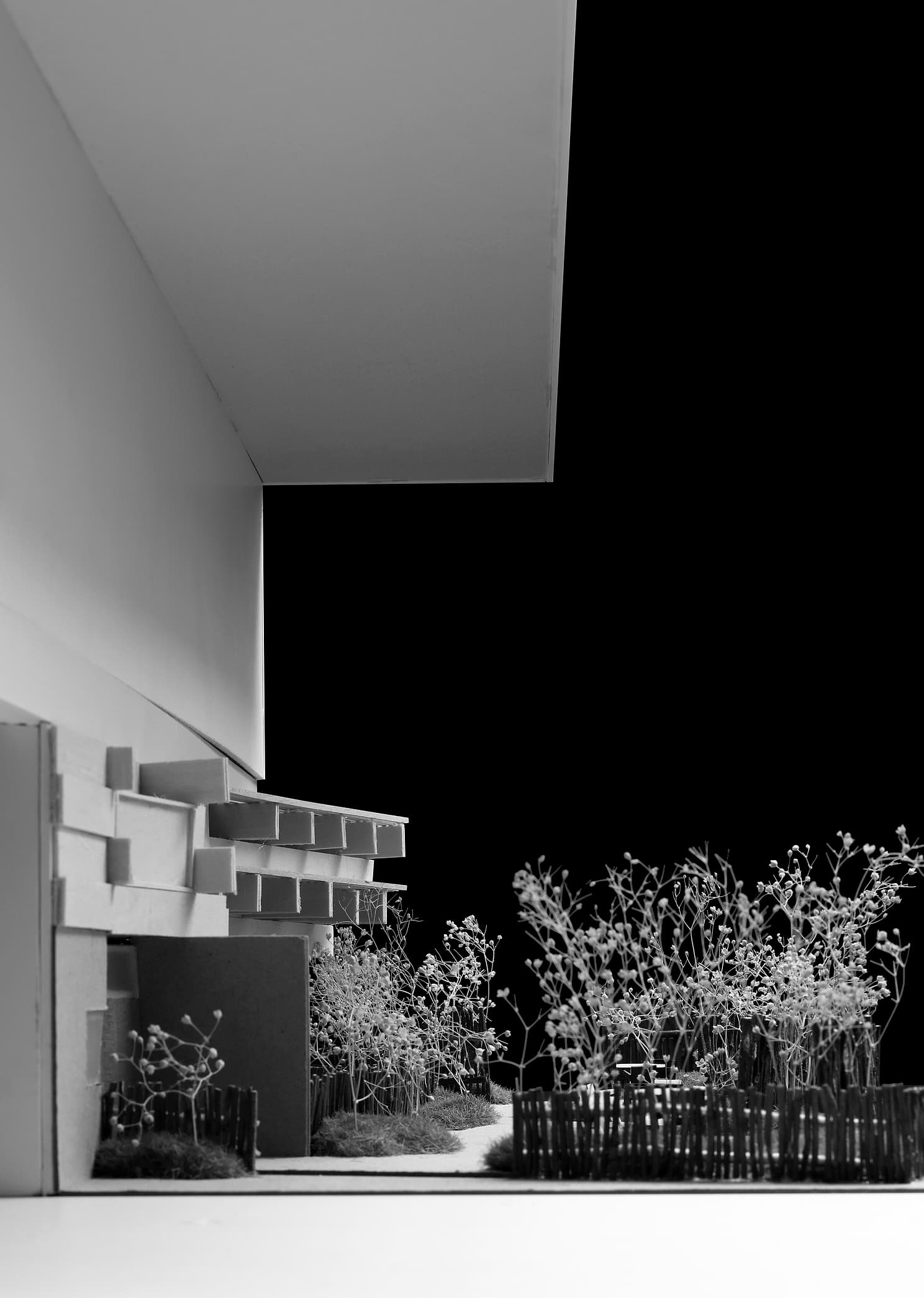 project_image