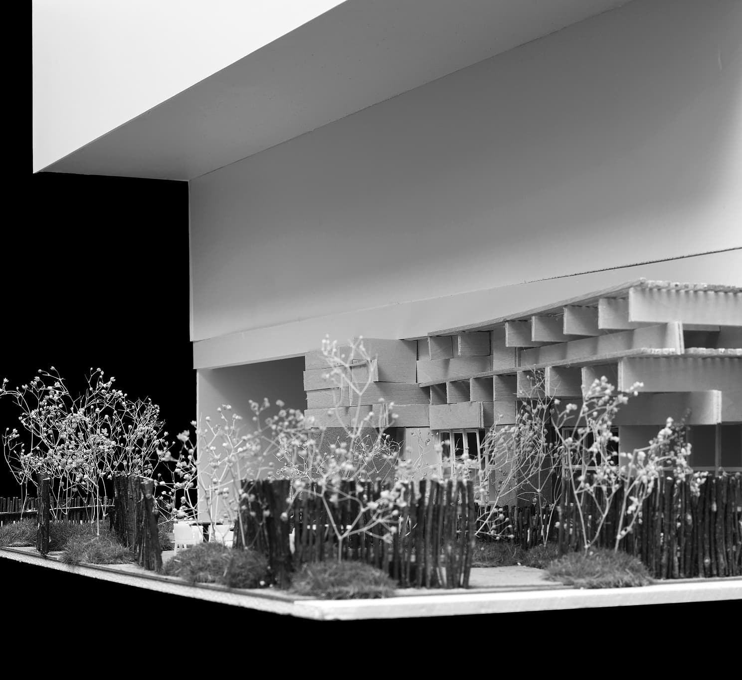 project_image