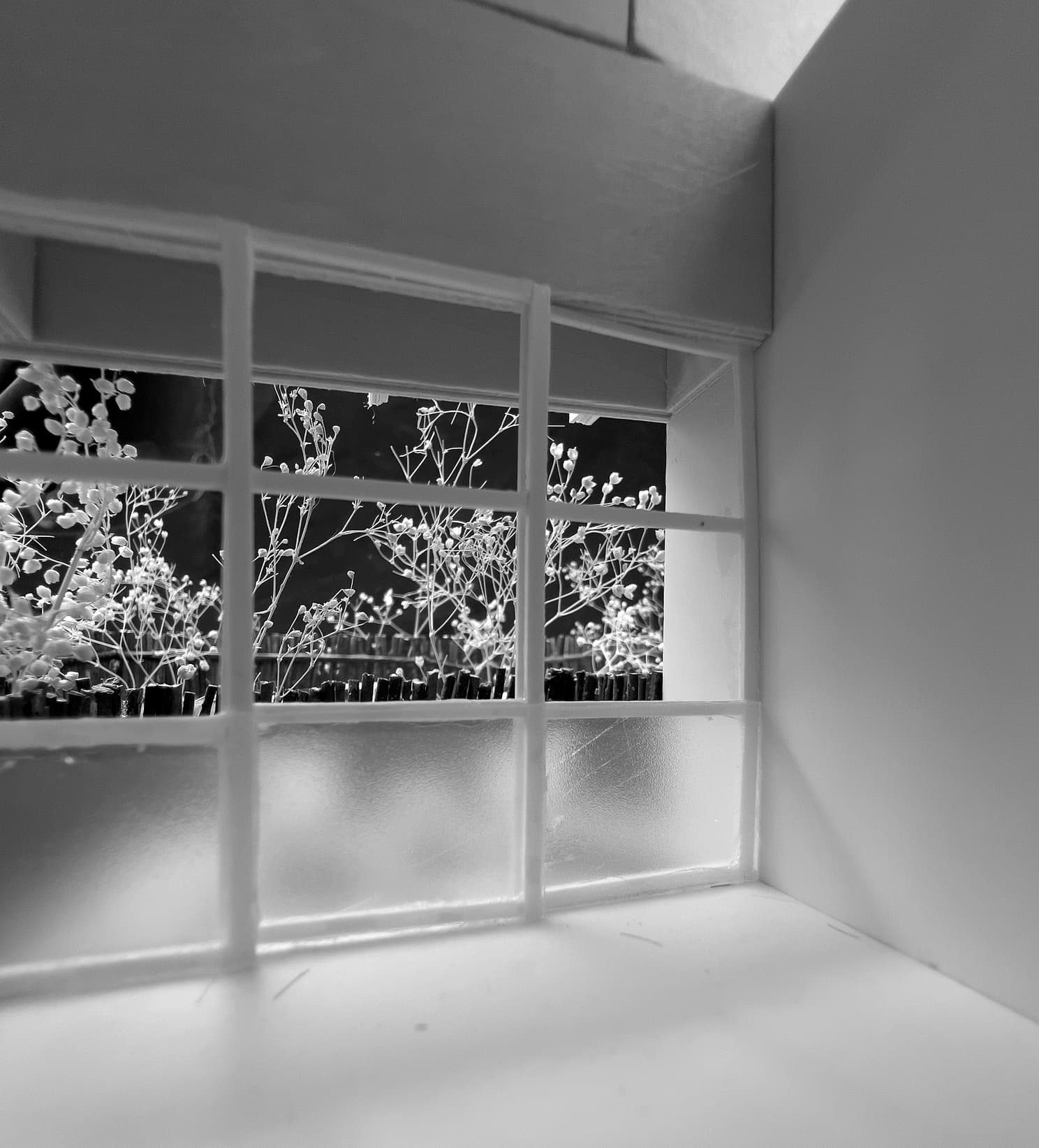 project_image