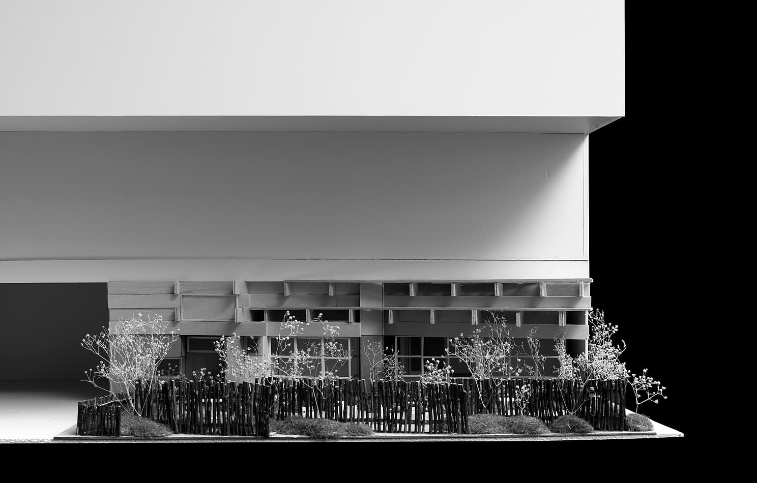 project_image